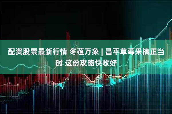 配资股票最新行情 冬蕴万象 | 昌平草莓采摘正当时 这份攻略快收好