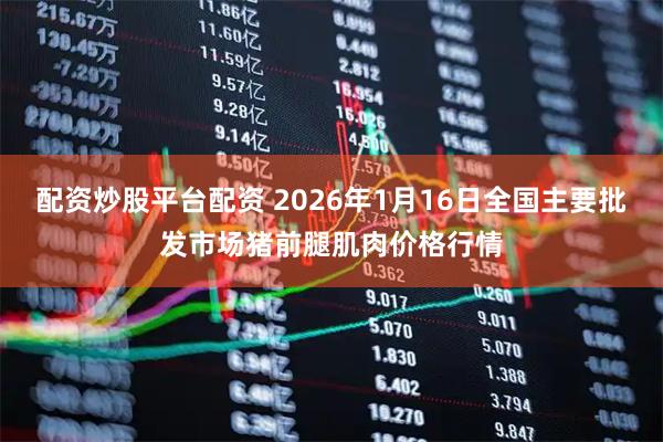 配资炒股平台配资 2026年1月16日全国主要批发市场猪前腿肌肉价格行情